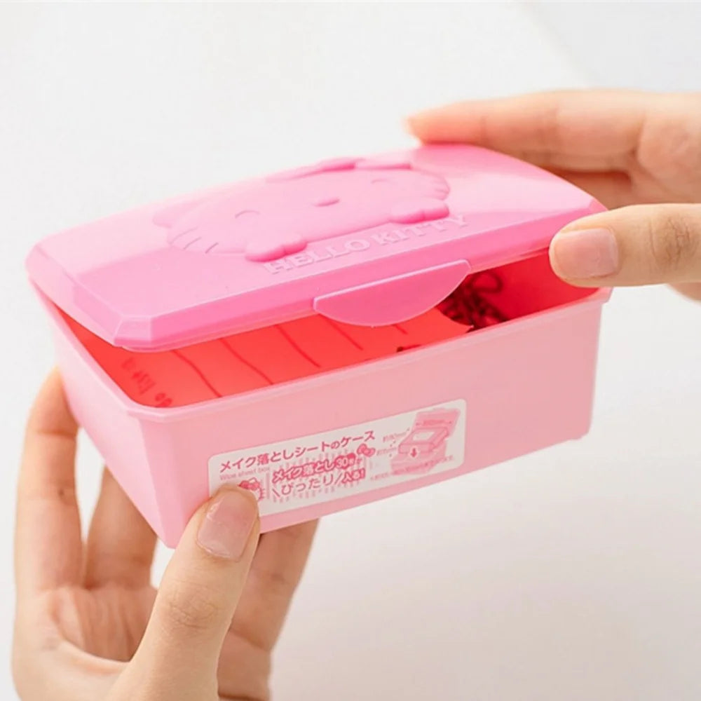 Sanrio Portable Storage Box