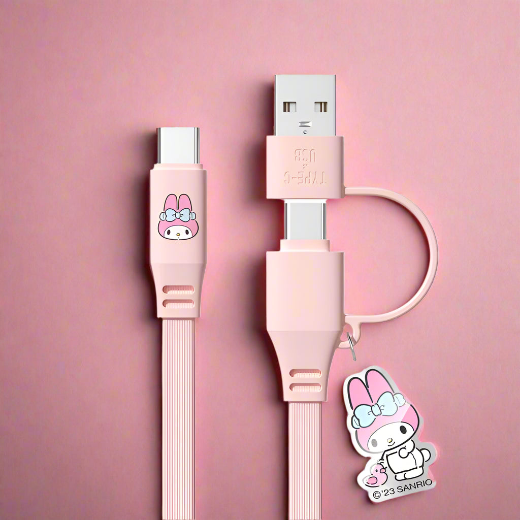 2-In-1 Adapter Storage Charging Cable