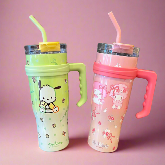 Stainless Steel Water Bottle