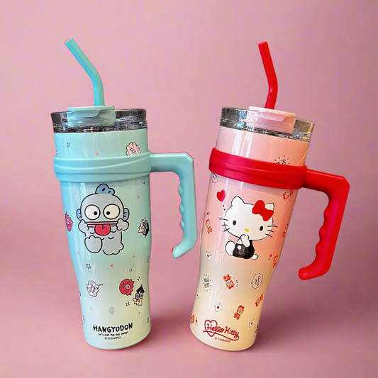 Stainless Steel Water Bottle